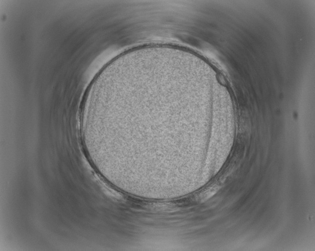 X0000066961287200604211832