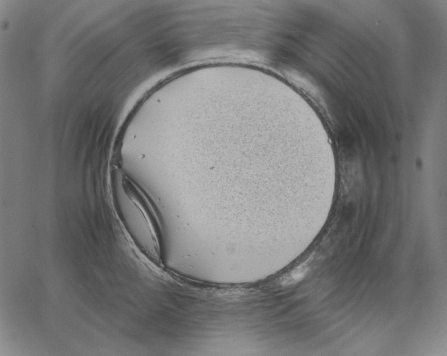 X0000066961288200604211832