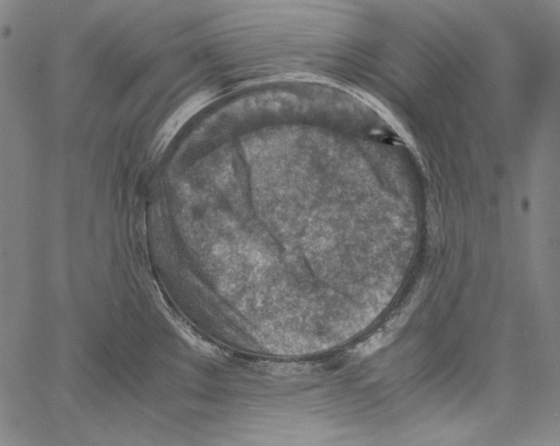 X0000066961289200604211832