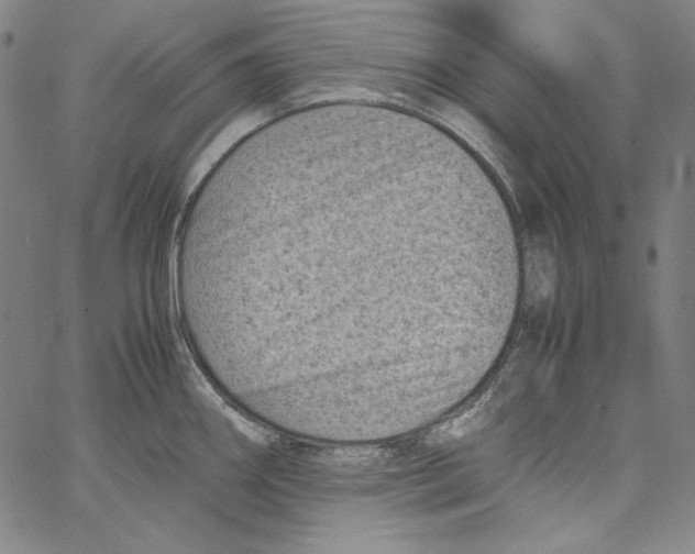 X0000066961290200604211832