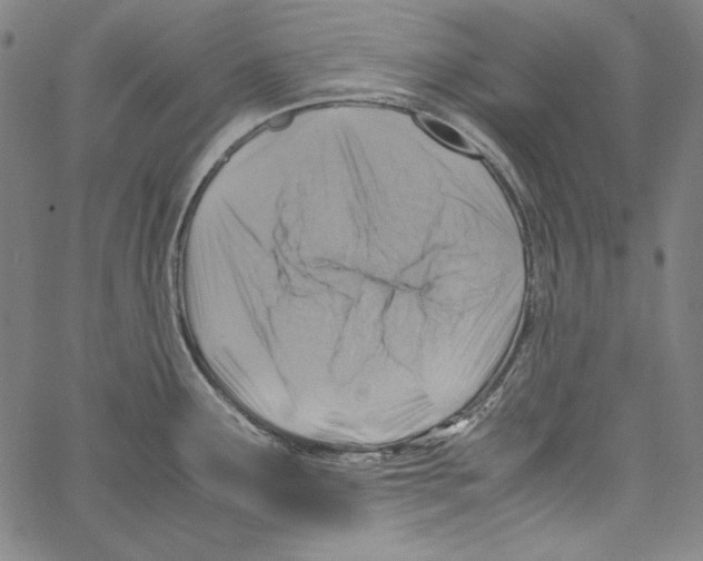 X0000066961291200604211832