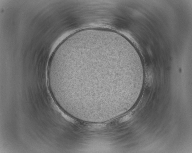 X0000066961294200604211832