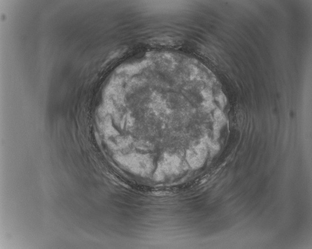 X0000066961297200604211831