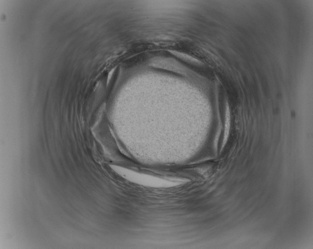 X0000066961298200604211831