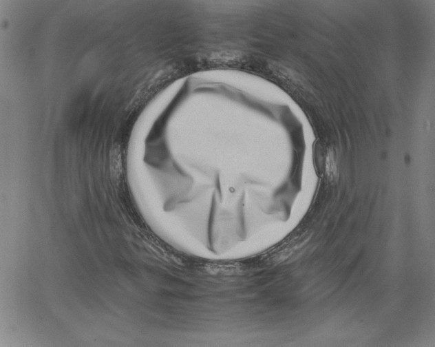 X0000066961299200604211831