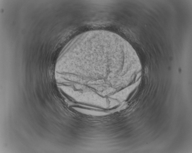 X0000066961300200604211831