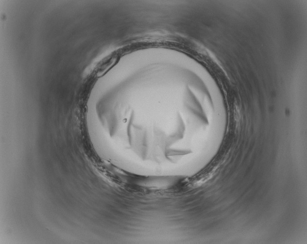 X0000066961304200604211831