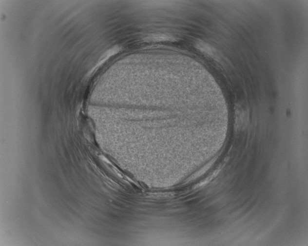 X0000066961305200604211831