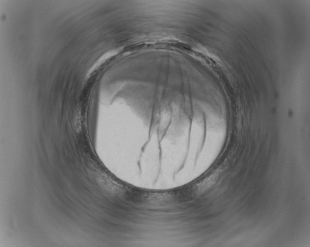 X0000066961306200604211831