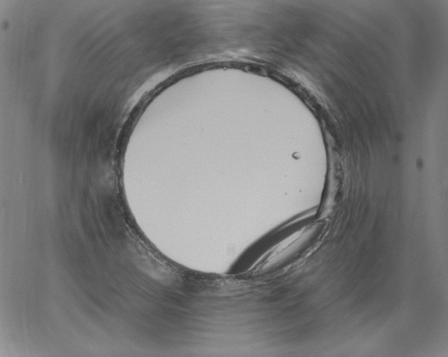 X0000066961308200604211831