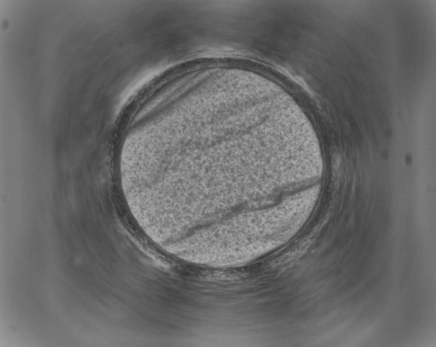 X0000066961311200604211831