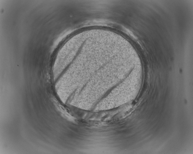 X0000066961312200604211831