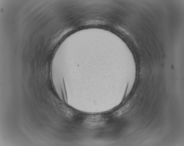 X0000066961313200604211831