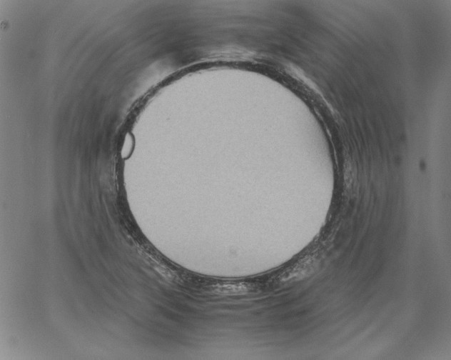 X0000066961315200604211831