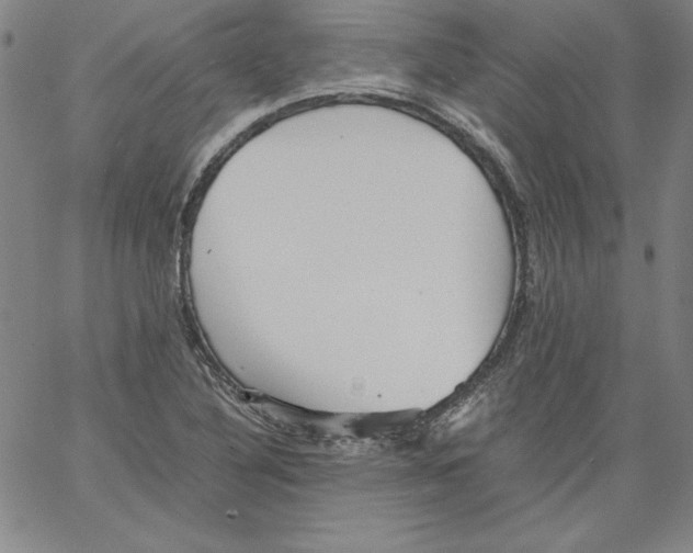 X0000066961316200604211831