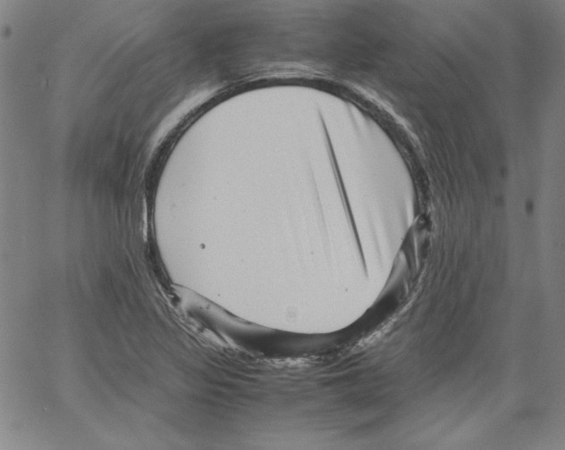 X0000066961317200604211831