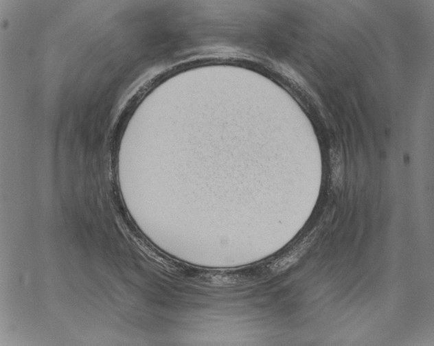 X0000066961318200604211831