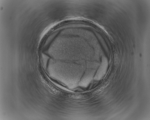 X0000066961319200604211831