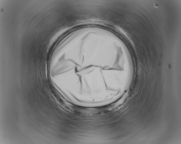 X0000066961320200604211831