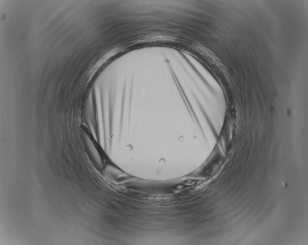 X0000066961321200604211831