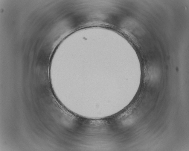 X0000066961322200604211831