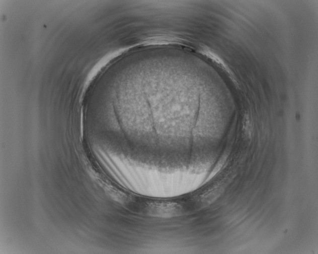 X0000066961323200604211831