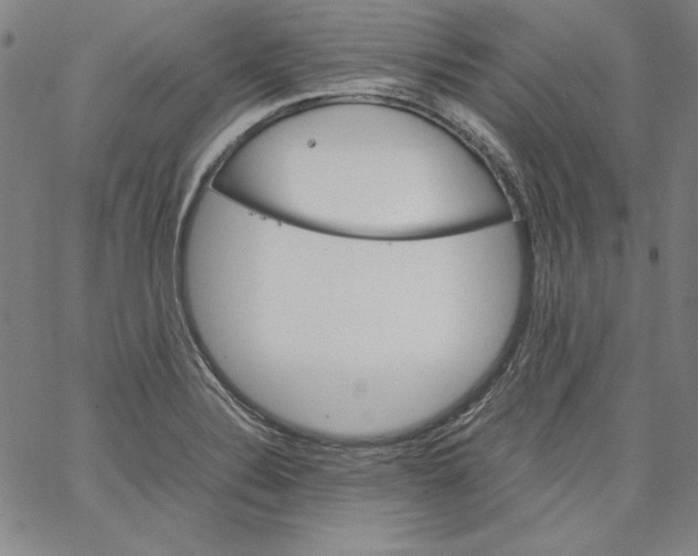 X0000066961324200604211831