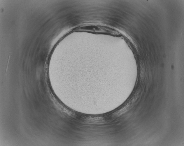 X0000066961325200604211831