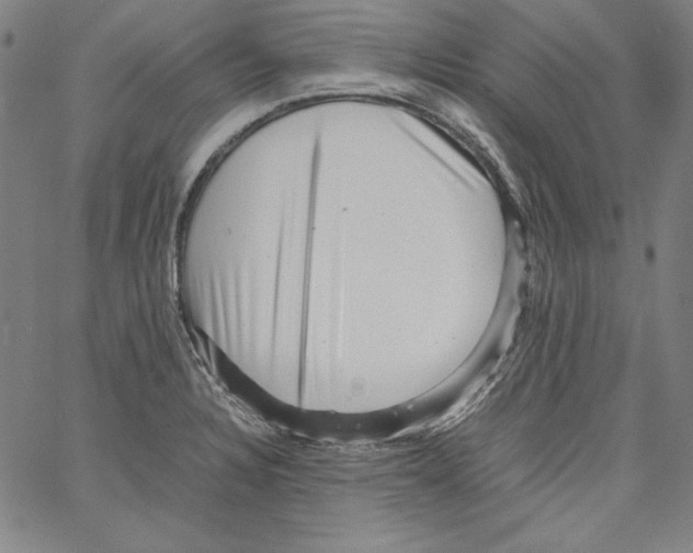 X0000066961328200604211831