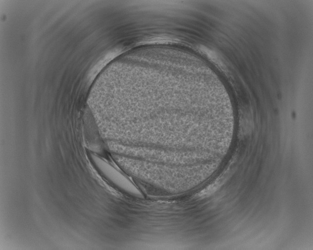 X0000066961329200604211831