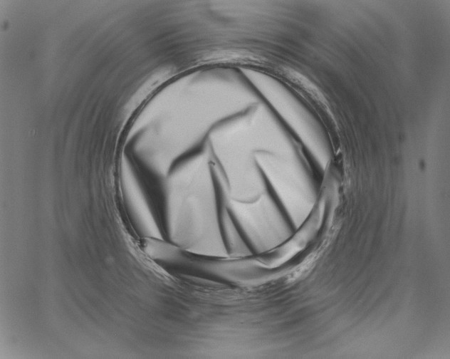 X0000066961330200604211831