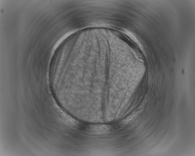 X0000066961331200604211831