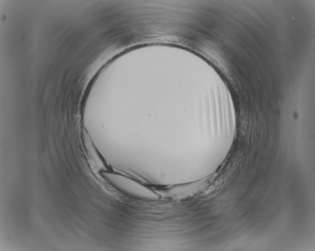 X0000066961332200604211831