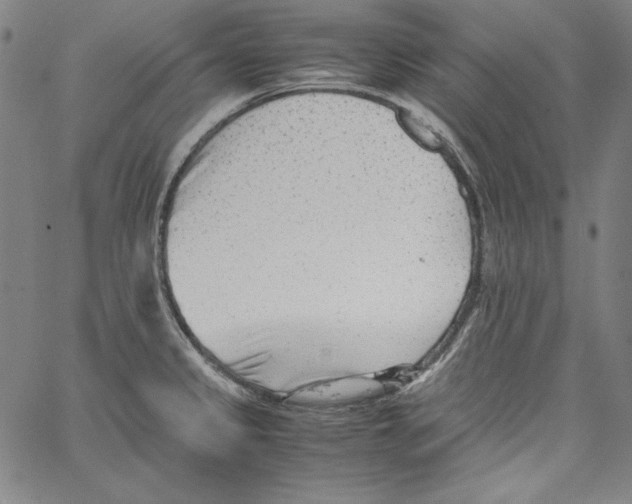 X0000066961333200604211831