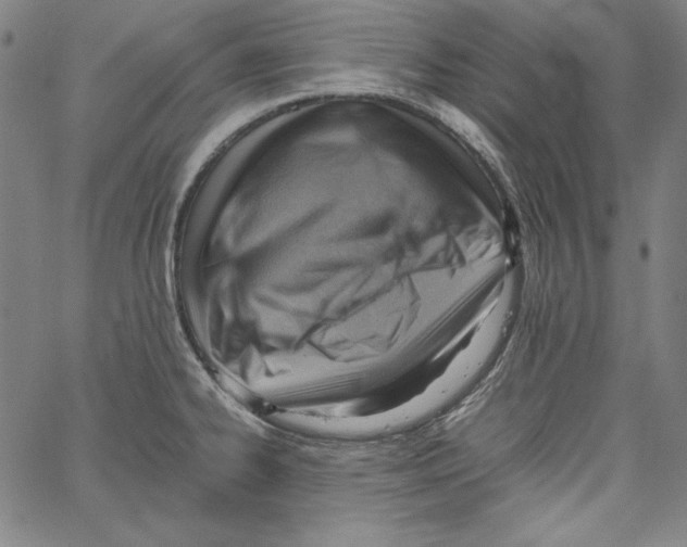 X0000066961334200604211831