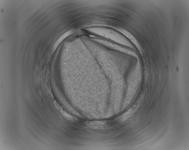 X0000066961337200604211831