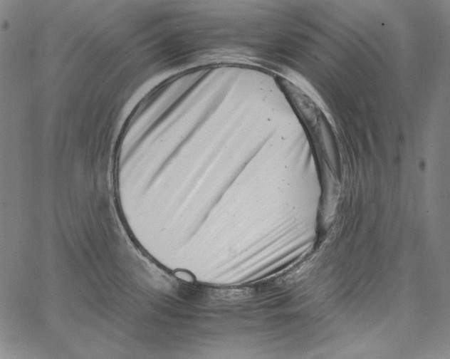 X0000066961339200604211831