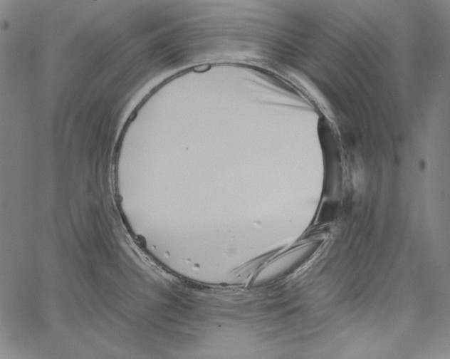 X0000066961340200604211831