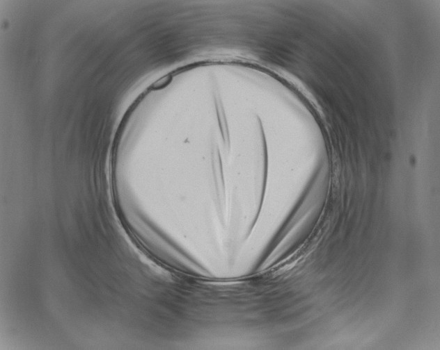 X0000066961343200604211832