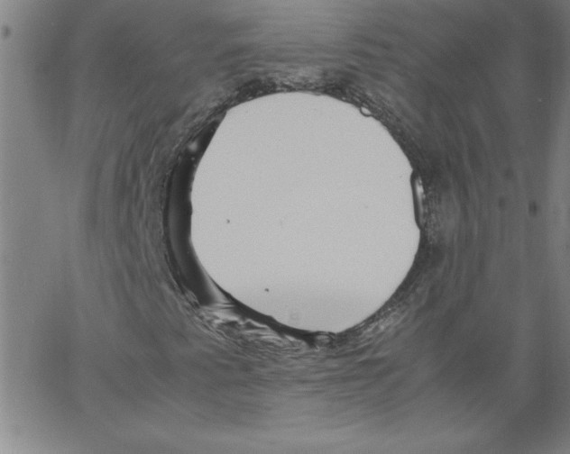 X0000066961345200604211831