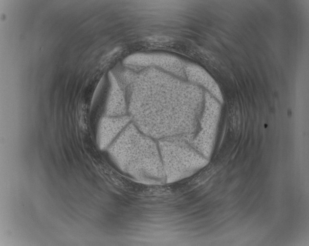 X0000066961346200604211831