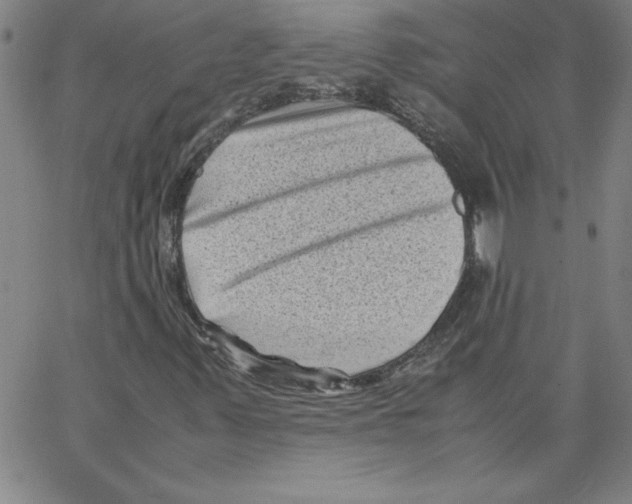 X0000066961347200604211831