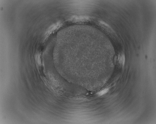 X0000066961348200604211831