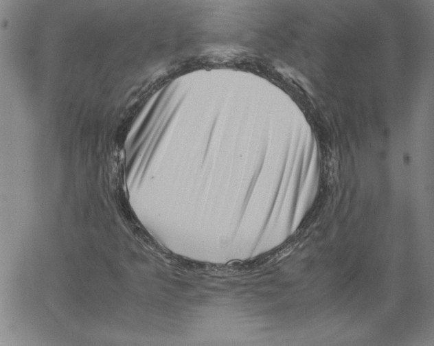 X0000066961349200604211831