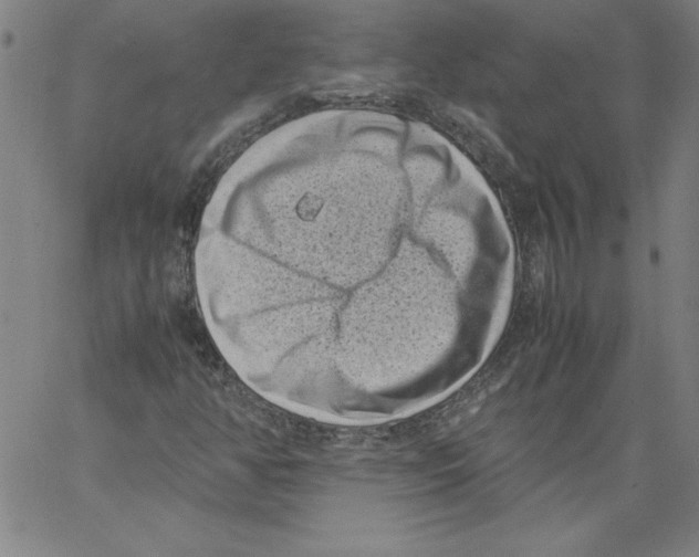 X0000066961350200604211831