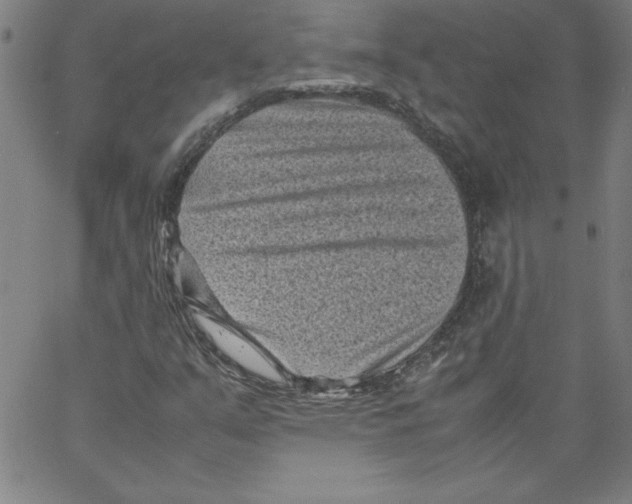 X0000066961351200604211831