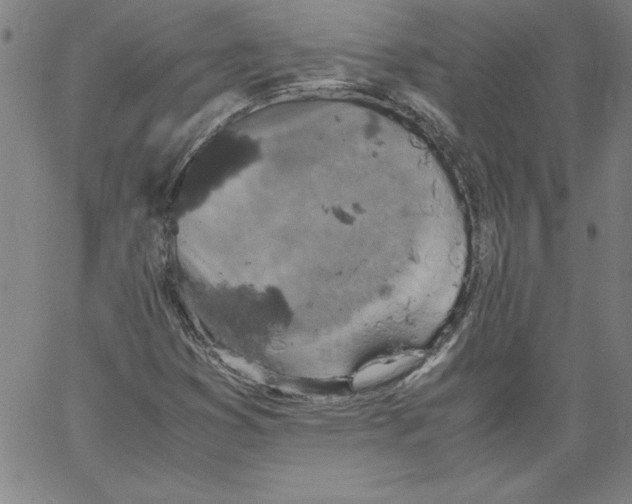 X0000066961353200604211831