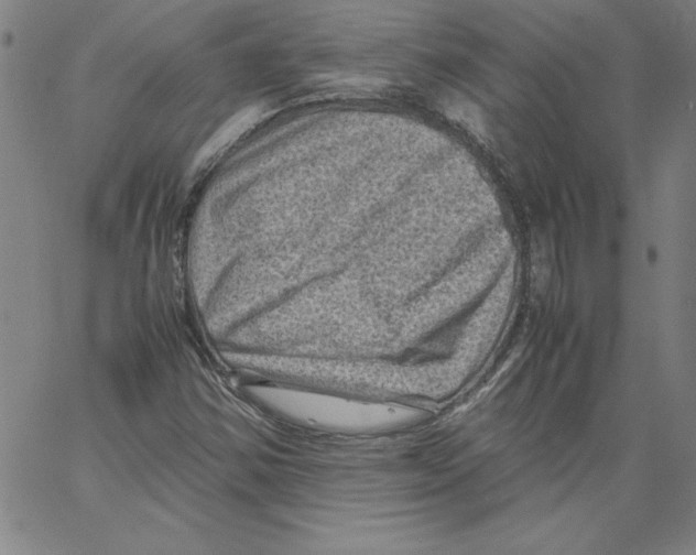 X0000066961354200604211831