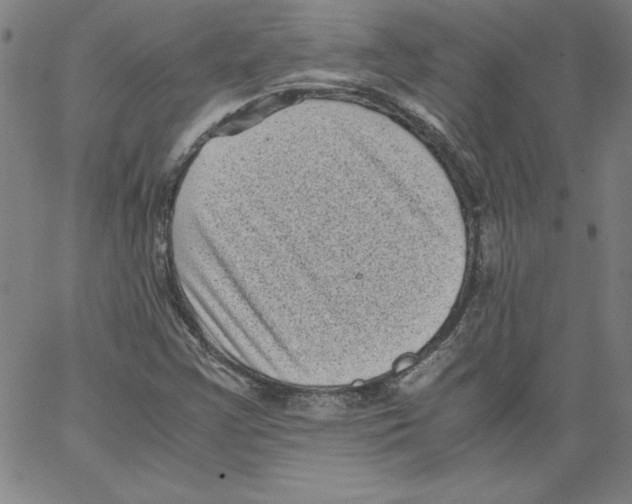 X0000066961355200604211831