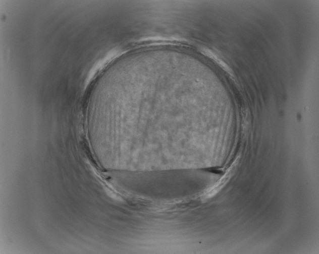 X0000066961357200604211831